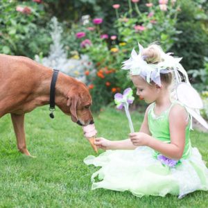 Tinkerbell - Medium