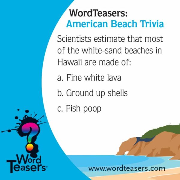 WordTeasers American Beach Trivia