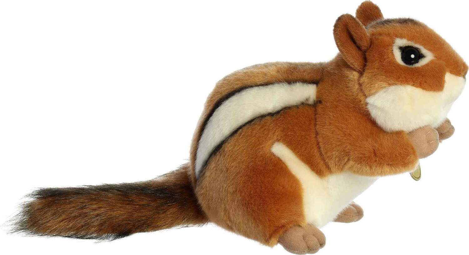 chipmunk teddy