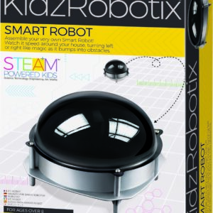 Smart Robot (6)