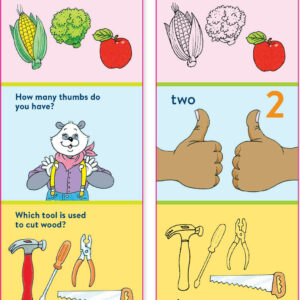 Brain Quest Pre-Kindergarten Smart Cards Revised 5th Edition