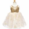 Golden Glam Party Dress Size 3 to 4