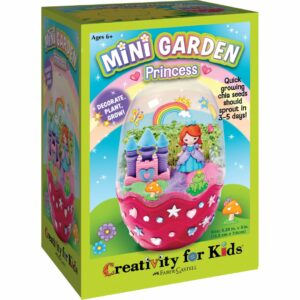 DIY Mini Princess Garden