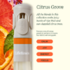 Lifelines Pen Diffuser Citrus Grove