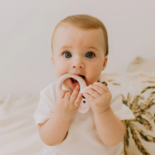 Koala Teether (Pink Salt)