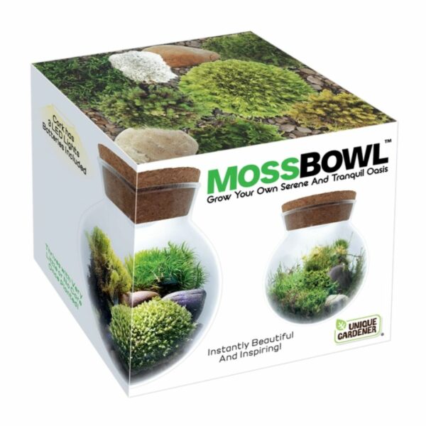 Moss Bowl Terrarium