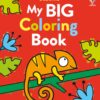 My Big Coloring Book