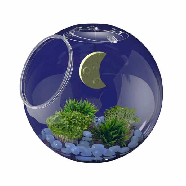 Wow in the World Light Up Terrarium