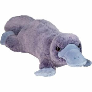 Allie Soft Platypus