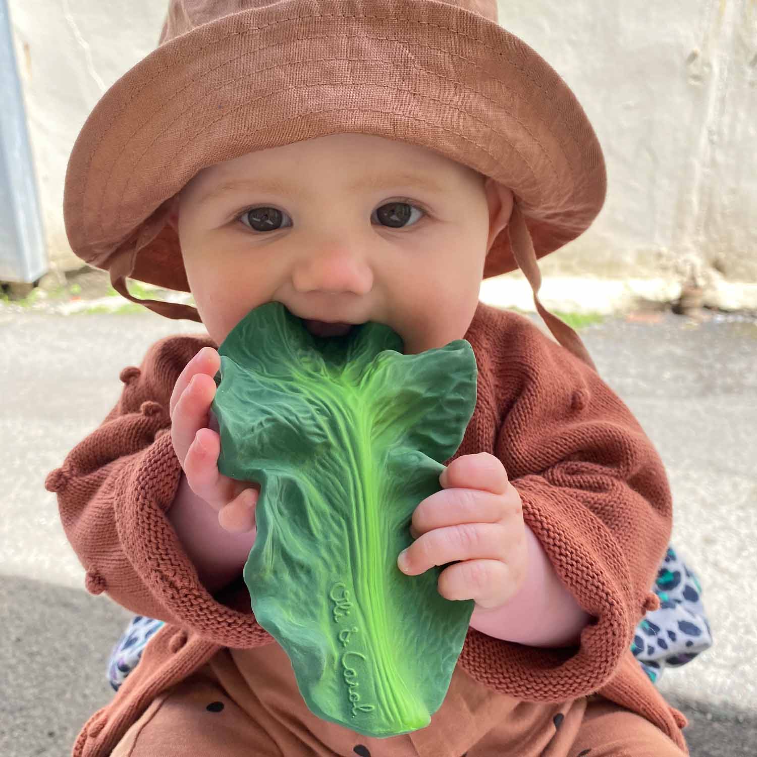 Kendall the Kale Teether
