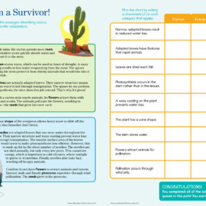 Summer Brain Quest: Between Grades 4 & 5