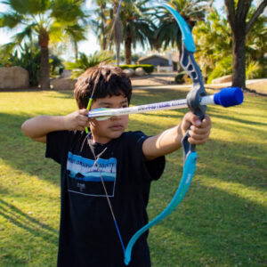 Faux Bow Protege (assorted colors)