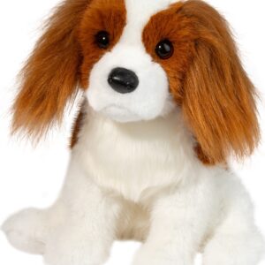 Kingsley Cavalier King Charles Spaniel