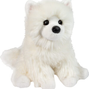 Opo White Pomeranian