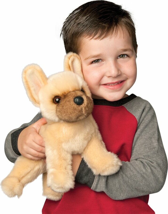 Napoleon French Bulldog