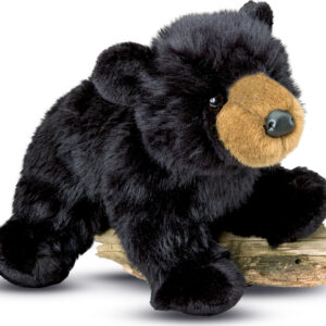 Boulder Black Bear