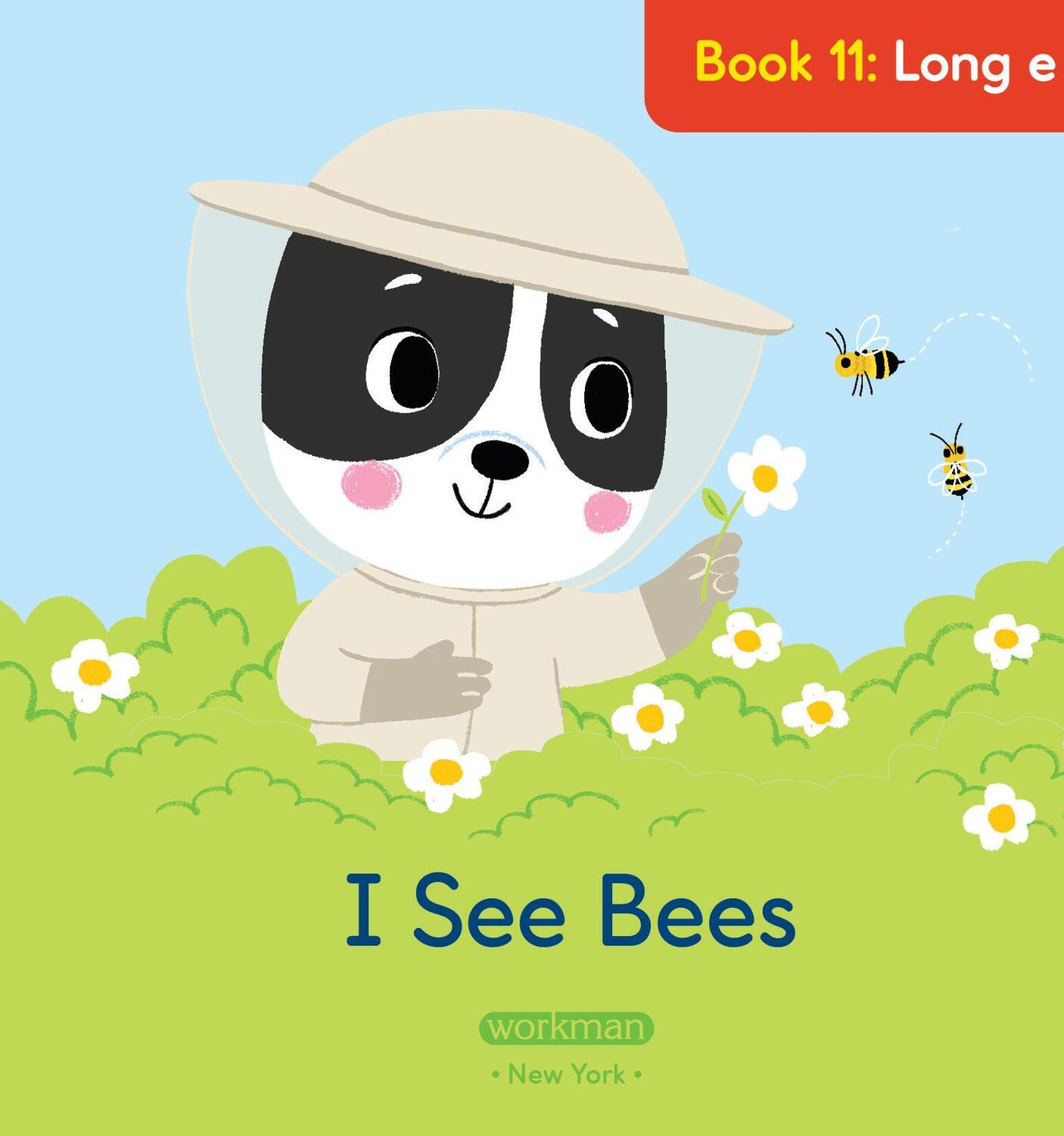 Brain Quest Phonics Readers: Set 1: 12 Decodable Readers: Short and Long Vowels