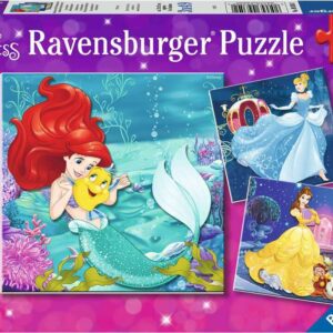 Disney Princess Adventure