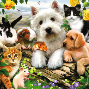 Happy Animal Buddies