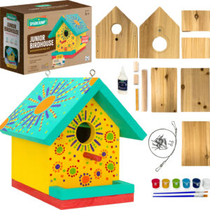Junior Birdhouse DIY Kit