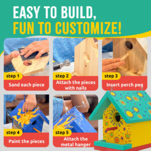Junior Birdhouse DIY Kit