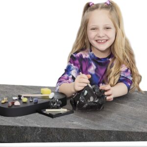 NOVA Obsidian Excavation Lab