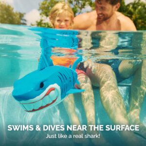 Swimways Rainbow Reef: Finn Diesel Water Activated Shark