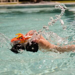 Swimways Monster Jam Wave Sprayers: El Toro Loco & Megalodon