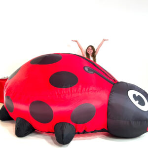 The Original AirFort - Ladybug