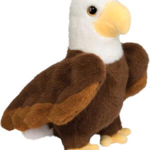 Windy Eagle