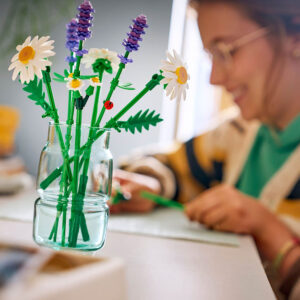 BOTANICALS Daisies