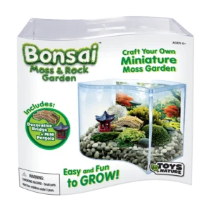 Bonsai Moss and Rock Garden