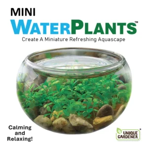 Mini Water Plants