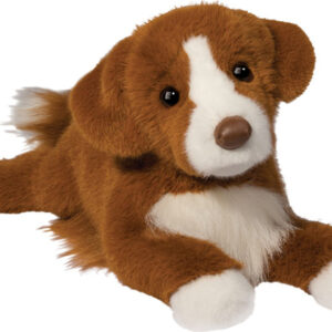 Rush Duck Tolling Retriever