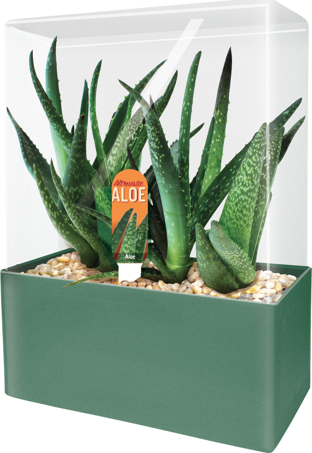 Altruistic Aloe