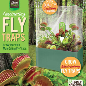 Fascinating Flytraps