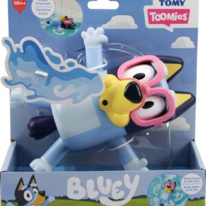 Swim School Bluey