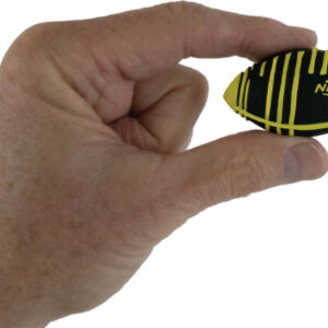 World's Smallest NERF Weather Blitz Football