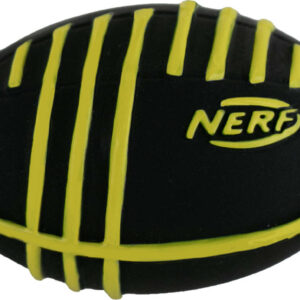 World's Smallest NERF Weather Blitz Football