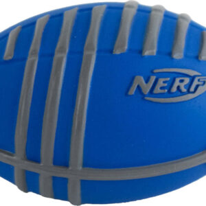 World's Smallest NERF Weather Blitz Football