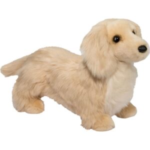 Haisley Golden Dachshund