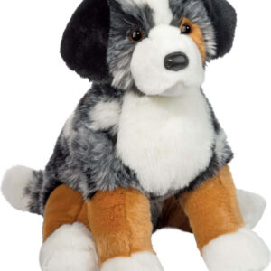 Aspen Australian Shepherd