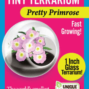 Tiny Terrarium Flowers