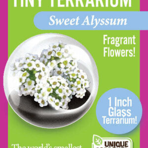 Tiny Terrarium Flowers
